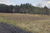 Duża działka pod budowę