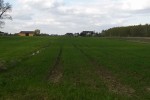 Działka o pow. 88ar w Bilewie gm. Sędziejowice