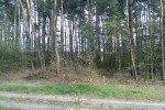 Zadrzewiona 13-sto arowa działka - Bilew