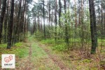 Fantastyczna działka 1250m2 - Jamborek