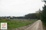 Działka w okolicy lasów, Ostrów