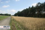 Działka o powierzchni 30 ar